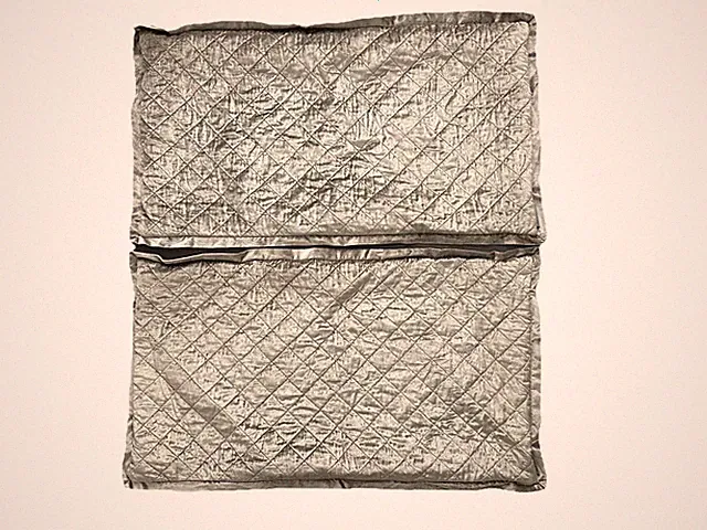 Lili Alessandra Set of 2 Silver Chole Velvet King Pillow Shams Cover Fawn