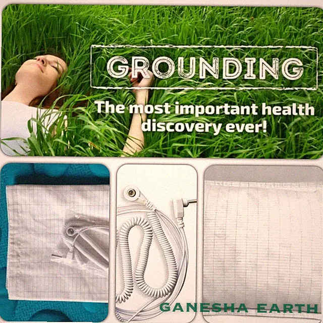 Organic Earthing / Grounding Sheet Pillow Case 30"x20" 📳SHIELD EMF RADIATION🛡
