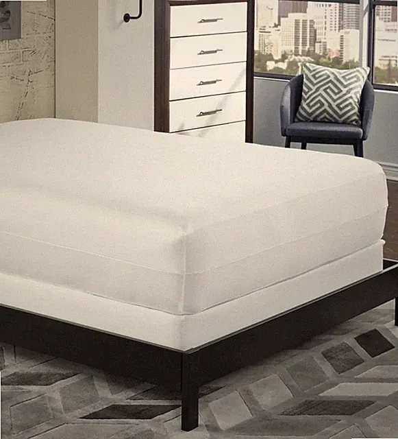 Set Of 2 - King Sized Mattress And Power Base Protector - Omniguard - Brand New